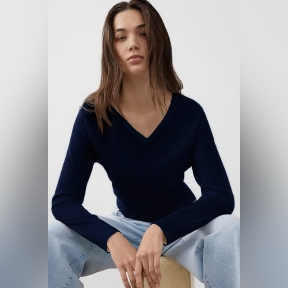 NWT Banana Republic 100% Merino Wool V-Neck Sweater